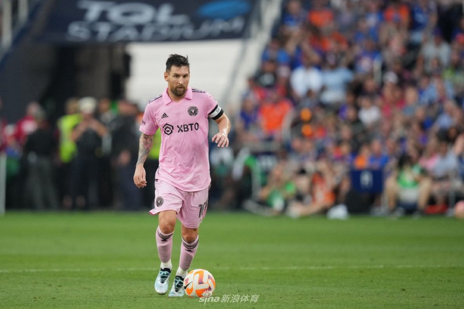 码的决定 码的决定